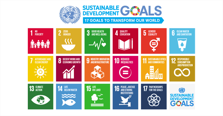 Menicon: Sustainable Development Goals